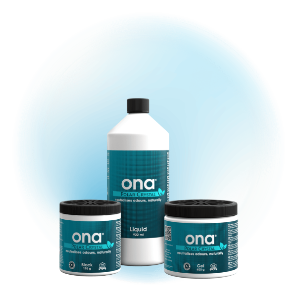 ONA Polar Crystal
