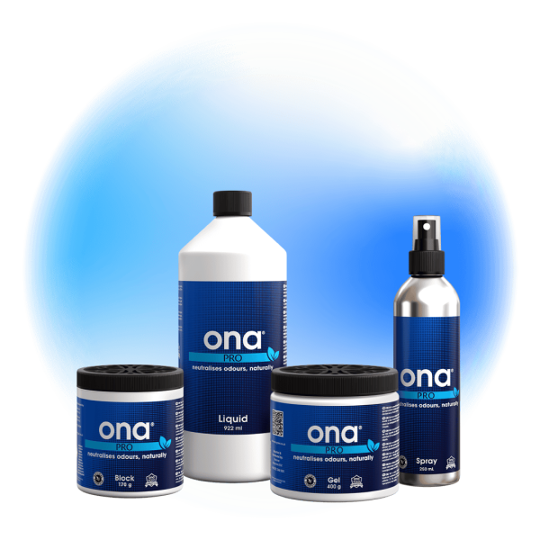 ONA Pro