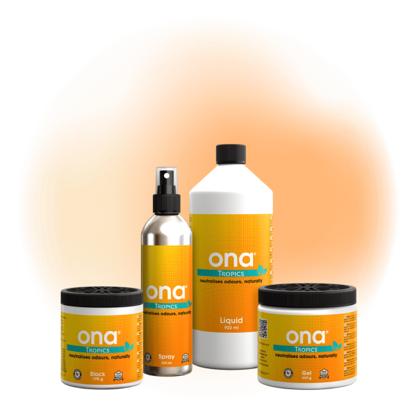ONA Tropics
