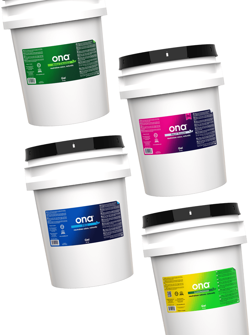 ona odour neutraliser 20kg gel group image
